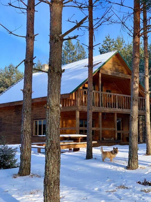 Дома для отпуска Holiday Home Atmatas Сабиле